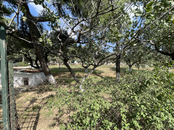 Elegant Villa for Sale in Pefki (21)