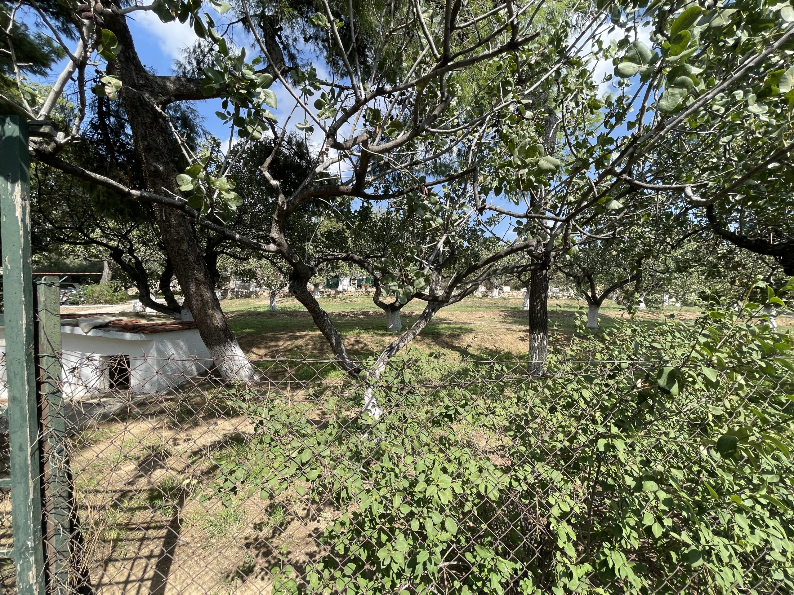 Elegant Villa for Sale in Pefki