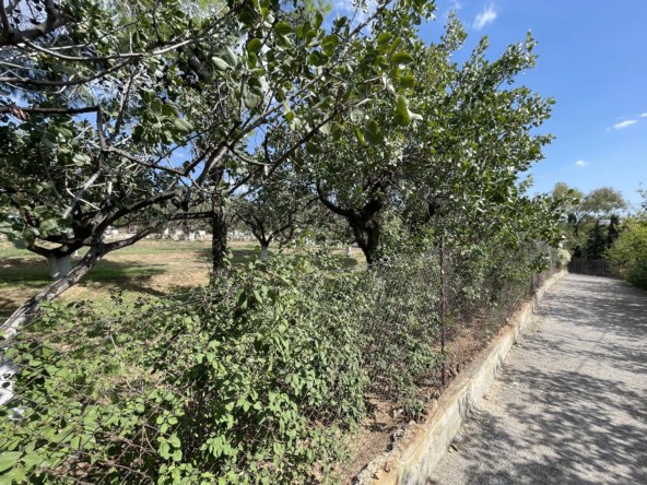 Elegant Villa for Sale in Pefki (22)