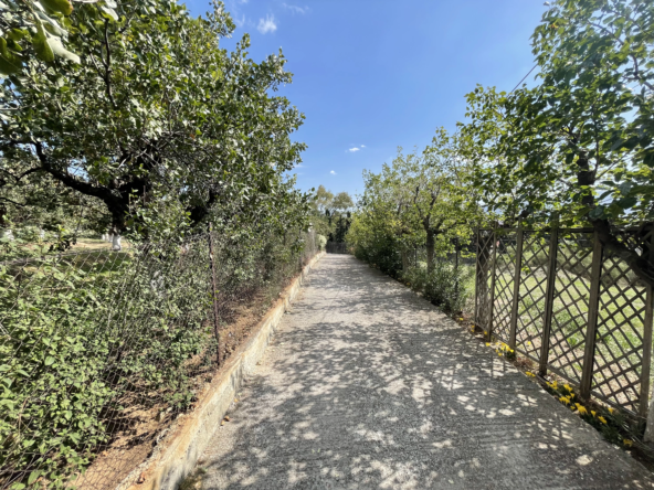 Elegant Villa for Sale in Pefki (23)