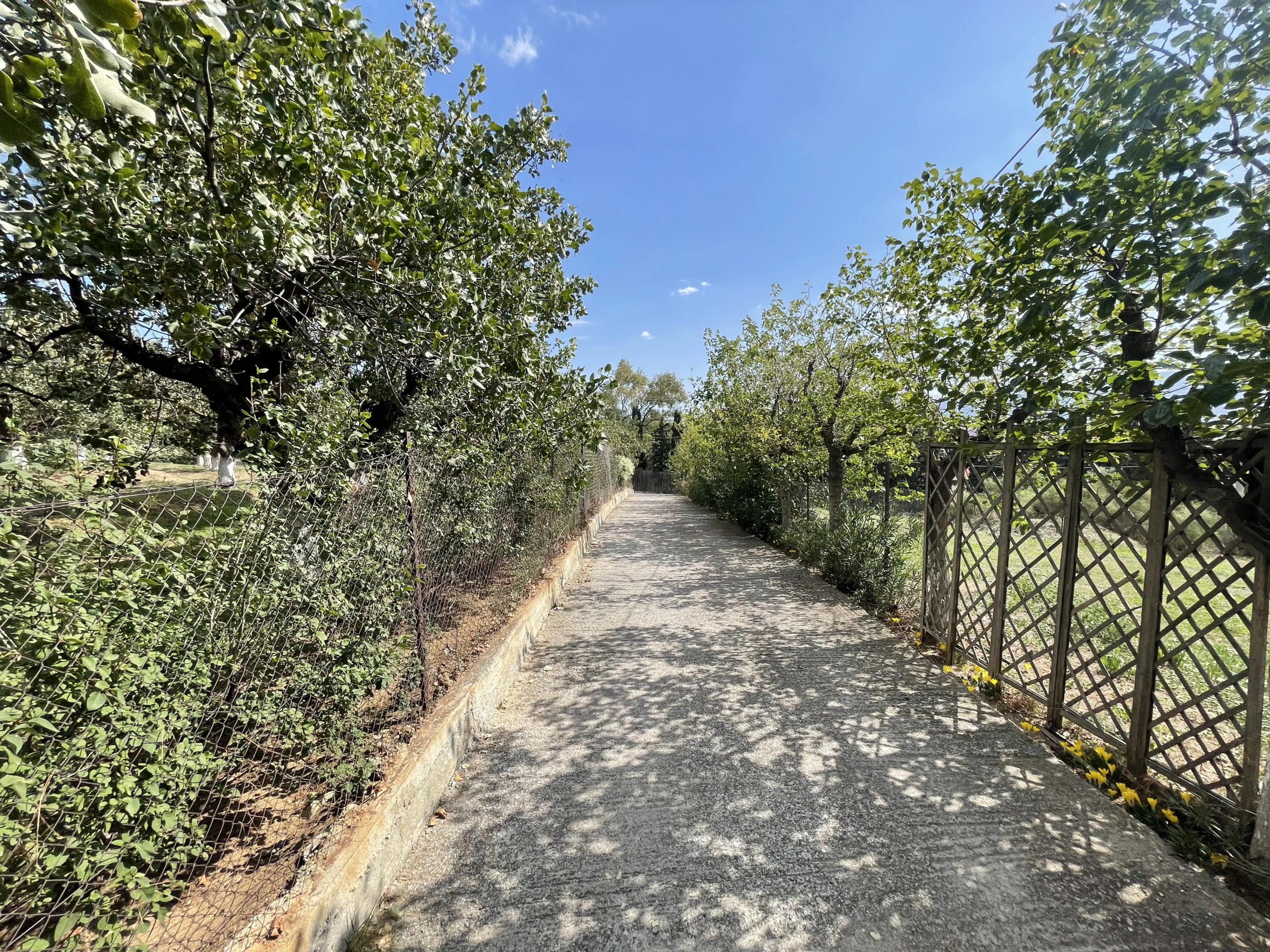 Elegant Villa for Sale in Pefki