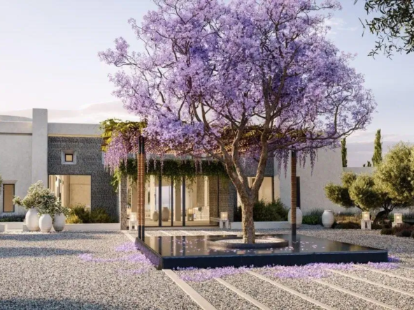 Destination_Kea_DolphinCapital-4