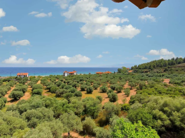 5 Apartments in Chalkidiki
