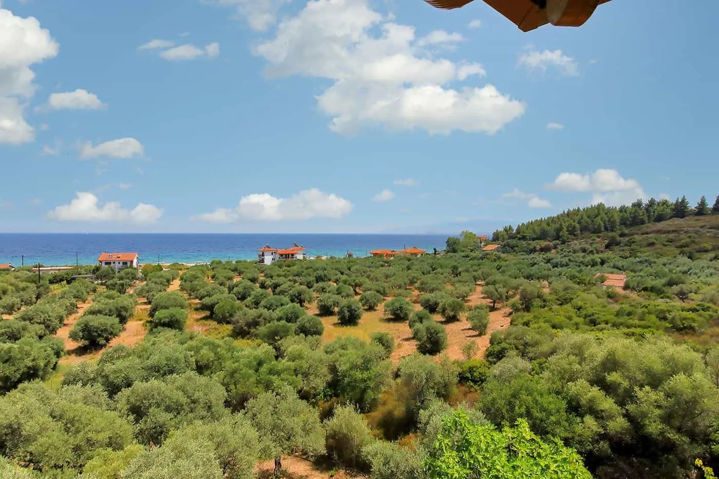 5 Apartments in Chalkidiki