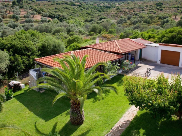 5 Apartments in Chalkidiki